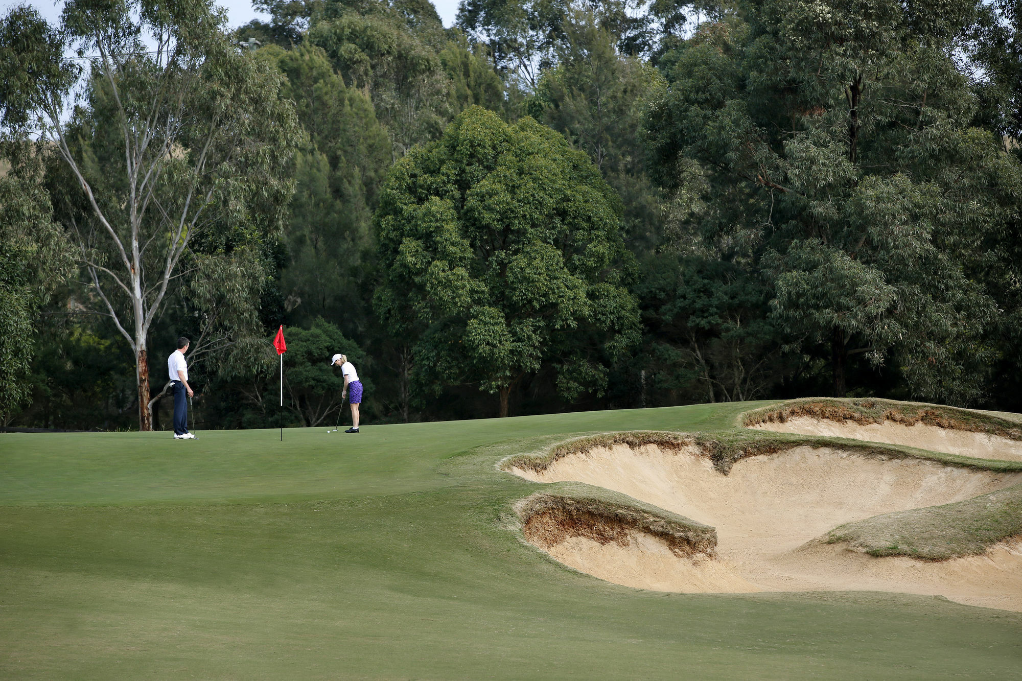 Chateau Elan At The Vintage Pokolbin Εξωτερικό φωτογραφία Golfers on the green of the 12th hole at the 2006 PGA Championship