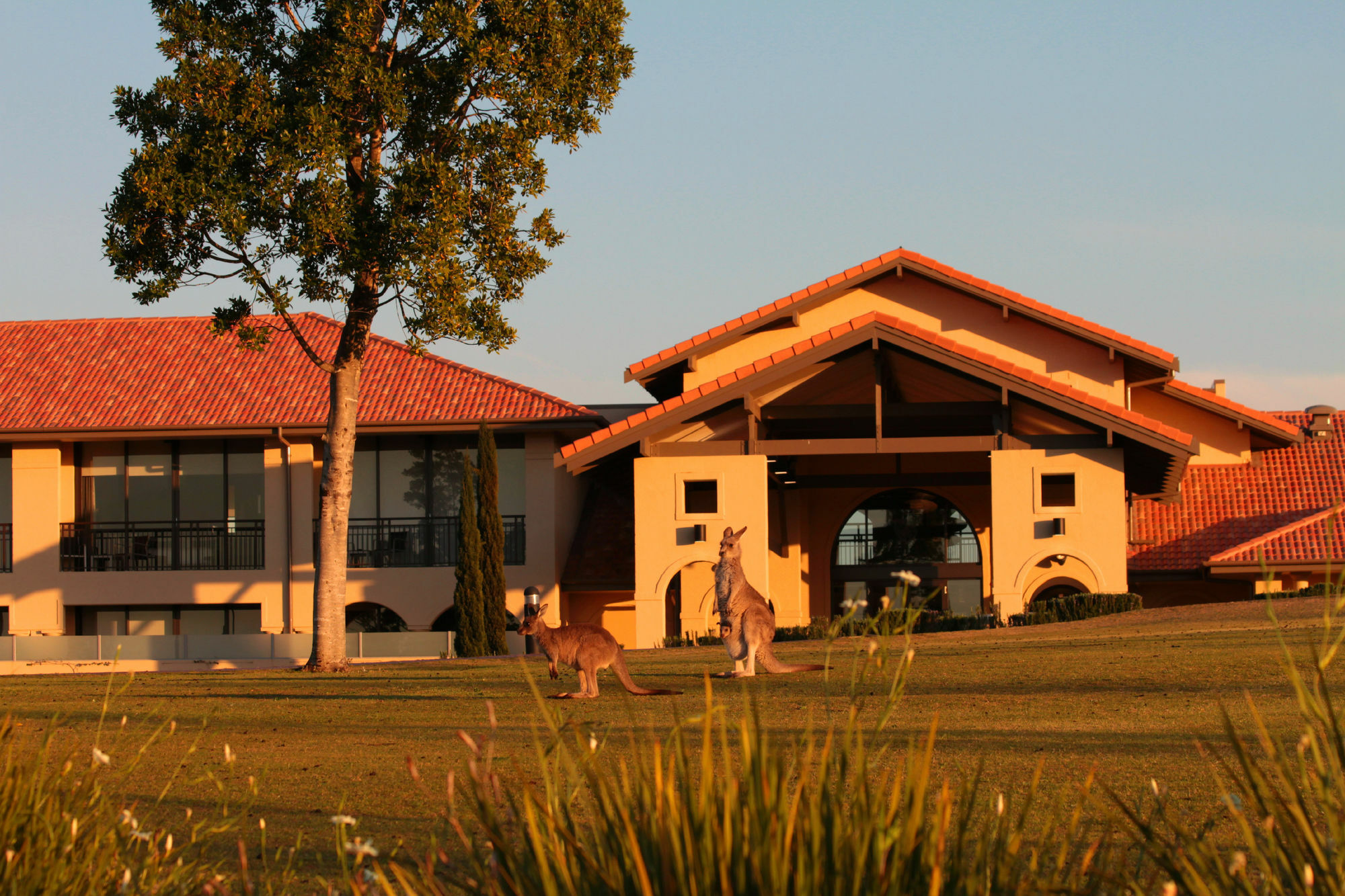 Chateau Elan At The Vintage Pokolbin Εξωτερικό φωτογραφία Clubhouse at the Sanctuary Golf Resort